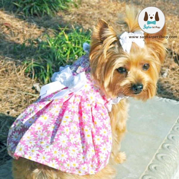 flower-garden-dog-dress-pink-daisy-1hhfgter.jpg