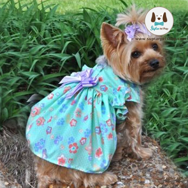 flower-garden-dog-dress-mint-green-1hhfgtdfr.jpg