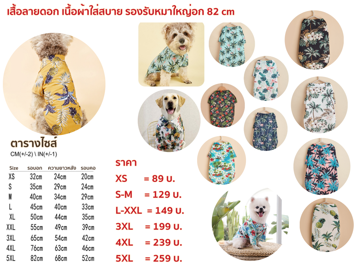 ราคา-ตารางไซส์เสื้อดอกโม่.png