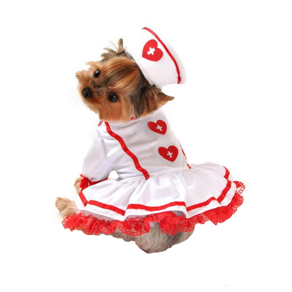 cutie-nurse-halloween-dog-costume-1.jpg